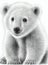 Graphic portrait of polar bear, close-up of white bear, pencil drawing, isolated illustration, baby bear, digital art