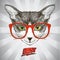 Graphic poster with hipster cat dressed in red glasses, against pop-art background with rays