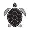 Graphic sea turtle