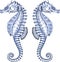 Graphic Seahorse