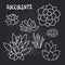 Graphic Set of succulents on chalk board for design of cards, invitations