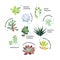 Graphic set with succulents isolated on white background. Hand drawn vector illustration, sketch. Elements for design.