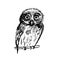 Graphic sketch bird owl illustration