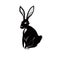 graphic stylish illustration hare black and white for decor