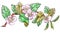 Graphic watercolor multicolor drawing branch of a pink blossoming apple tree