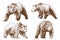 Graphical brown grizzly bears set isolated on white,vector illustration