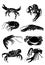 Graphical collection of crabs and lobsters isolated on white background,vector illustration, sea-food