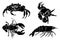 Graphical collection of crabs,shrimps and lobsters isolated on white background,vector illustration, sea-food