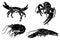 Graphical collection of crabs,shrimps and lobsters isolated on white background,vector illustration, sea-food