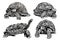 Graphical collection of four turtles isolated on white, vector illustration