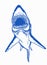 Graphical color illustration of great white shark ,angry look. Aquatic hunter, killer. Vector illustration .Blue shark