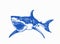 Graphical color illustration of great white shark ,angry look. Aquatic hunter, killer. Vector illustration .Blue shark