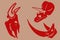 Graphical color set of red silhouettes of skulls of dinosaurs , vector illustration