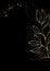 Graphical floral illustration. Leaves line art, golden leaves over black background