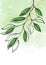 Graphical green leaves illustration. Floral line art pattern background