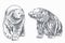 Graphical grey grizzly bears set isolated on white,vector illustration. Color collection of polar bears
