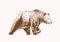 Graphical grizzly bear walking ,sepia illustration,vector