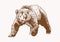 Graphical grizzly bear walking ,sepia illustration,vector