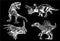 Graphical hand-drawn set of dinosaurs isolated on black,vector