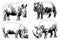 Graphical hand-drawn set of rhinos an hippos isolated on white,vector illustration