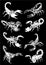 Graphical hand-drawn set of scorpions isolated on black background,vector engraved illustration