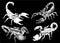 Graphical hand-drawn set of scorpions isolated on black background,vector engraved illustration