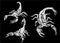 Graphical hand-drawn set of scorpions isolated on black background,vector engraved illustration