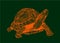 Graphical  orange tortoise isolated on green ,vector illustration