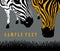 Graphical poster with tow heads zebra closeup on gray background, vector illustration in pop art collage style. Vector