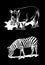 Graphical rhino and zebra,African animals isolated on black