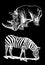 Graphical rhino and zebra,African animals isolated on black