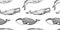 Graphical seamless pattern with set of whales isolated on white background. Sperm whale, blue whale and Greenland right