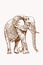 Graphical sepia illustration of elephant walking, vector