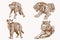 Graphical sepia set of wild African animals, illustration