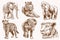 Graphical sepia set of wild African animals, illustration