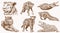 Graphical sepia set of wild African animals, illustration