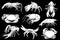 Graphical set of crabs,shrimps and lobsters isolated on black background,vector engraved illustration, sea-food
