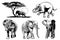 Graphical set of elephants isolated on white background, vector illustration