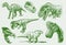 Graphical set of green dinosaurs , vector color dinosaurs , elements for tattoo , design