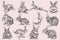Graphical set of grey bunnies isolated on pink background, vector illustration