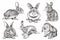Graphical set of grey bunnies isolated on white background, vector illustration