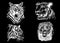 Graphical set of portraits of tigers and lions on black background, vector