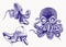 Graphical set of purple octopuses isolated on white background,vector illustration