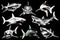Graphical set of sharks isolated on black background, vector engraved illustration