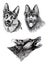 Graphical set of shepherd dog portraits isolated on white background, jpg illustration