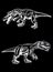 Graphical set of tyrannosauruses isolated on black background