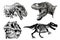 Graphical set of tyrannosauruses isolated on white background,vector illustration for tattoo and printing,textile