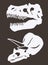 Graphical set of white silhouettes of skulls of dinosaurs on brown background, vector color illustration