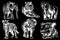 Graphical set of wild animals isolated on black background.