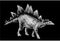 Graphical stegosaurus isolated on black ,jpg  illustration